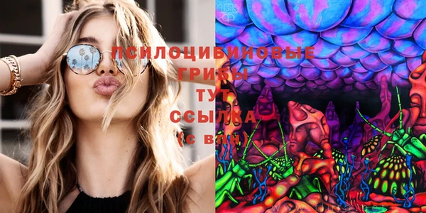 наркотики Абинск