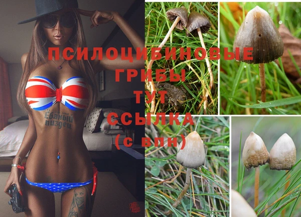 наркотики Абинск