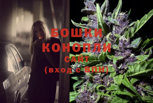тгк Магас